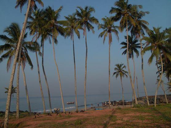 Oceanic Beach Residency Varkala Εξωτερικό φωτογραφία